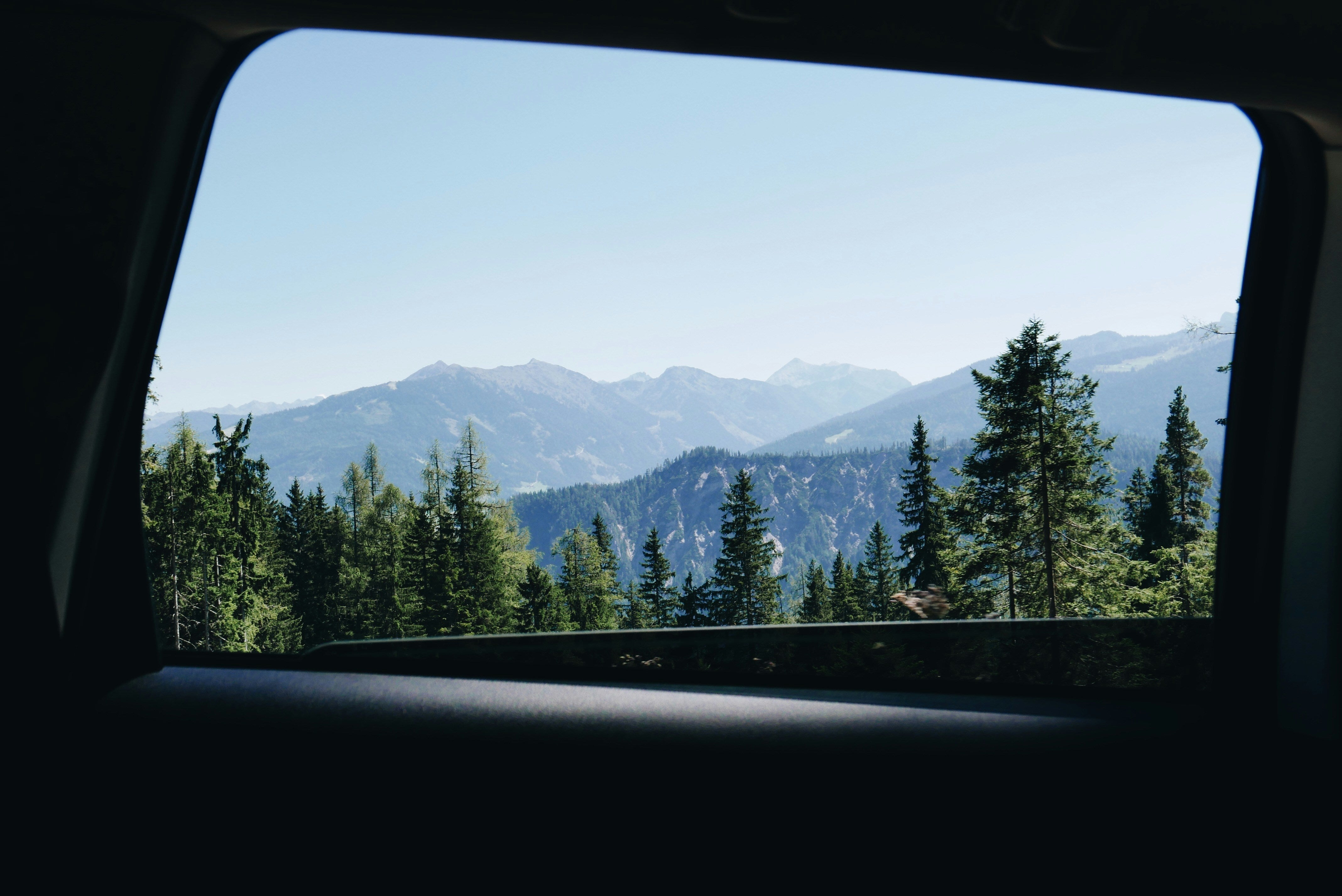 Essential 4WD Safety Tips for First-Time Off-Roaders – NotJust4X4